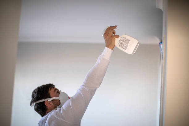Best Crawl Space Mold Removal  in Uniontown, AL