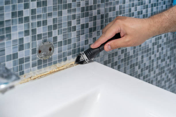 Best Black Mold Removal  in Uniontown, AL