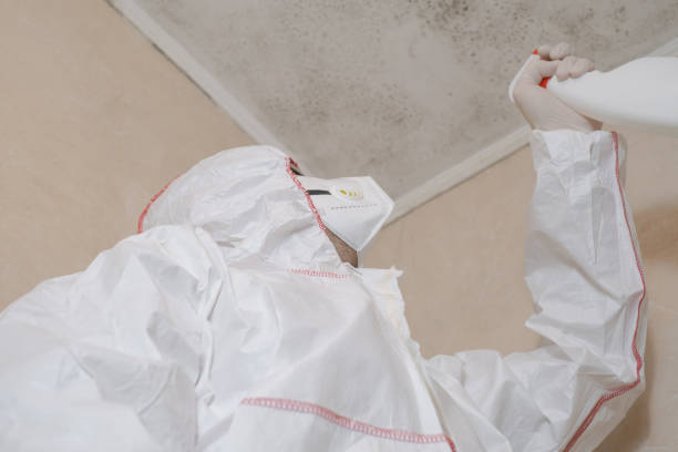 Best Commercial Mold Removal  in Uniontown, AL