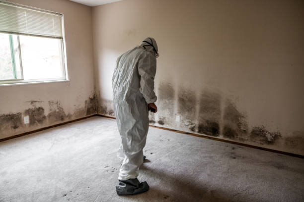 Best Residential Mold Removal  in Uniontown, AL